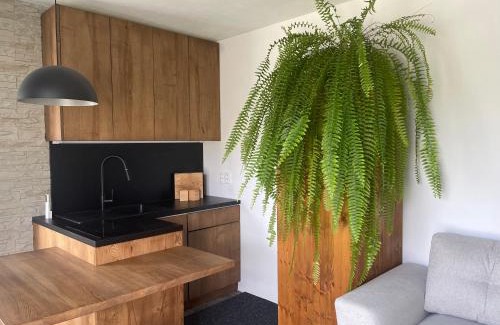 Turcianske Teplice House | Modul Monika