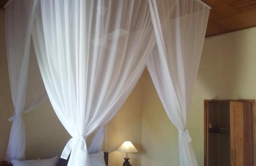 Pemuteran House | Molleh Guest House