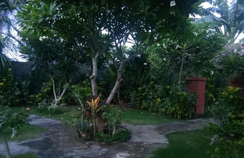 Pemuteran House | Molleh Guest House