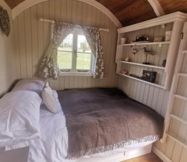 Frant Other | Molly Dishwasher Shepherds Hut