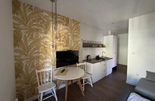 Golubac House | Moms house