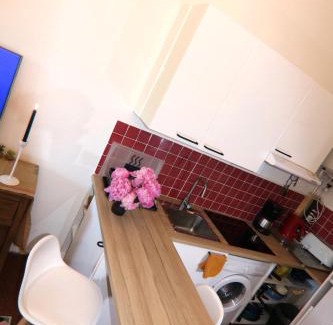 Beuil Apartment | Mon Mounier : Studio cosy au pied des pistes/Vue de rêve !