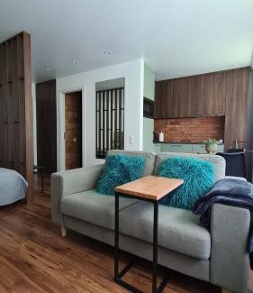 Telsiai Apartment | Mona Apartamentai