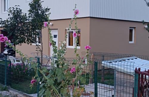Zabljak Apartment | Mona apartman