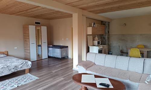 Zabljak Apartment | Mona apartman