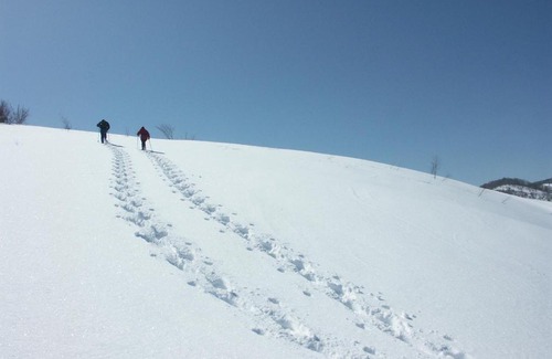 Madarao Mountain Resort Hotel | Monaile Madarao