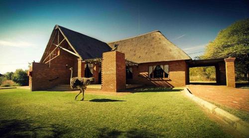 Tshwane Resort | Monateng Safari Lodge
