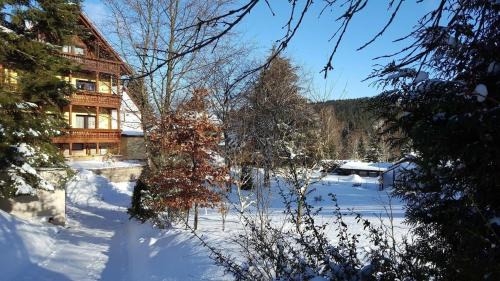 Finsterbergen Apartment | Monderne Komfortwohnung im Kurort am Rennsteig