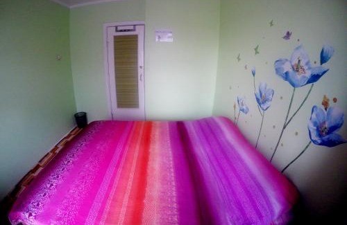 Downtown Ulaanbaatar Apartment | Mongolian Vision Tours