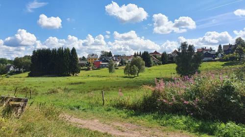 Schmiedefeld am Rennsteig Apartment | Monis gemütliche Ferienwohnungen