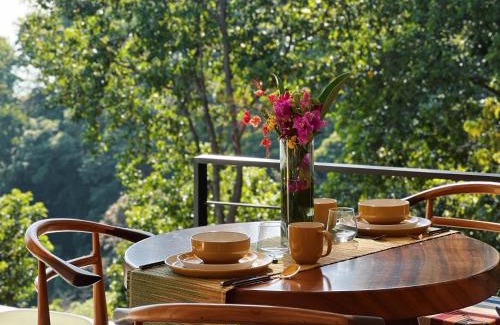 Dominical Apartment | Monkey House