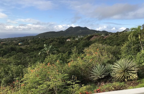 Fountain House | Monkey Rock