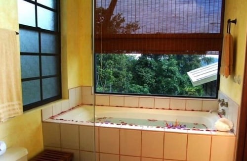 El Cerro House | Monkeys! Birds! Close to the Beach and everything you want to do! Very Popular!!