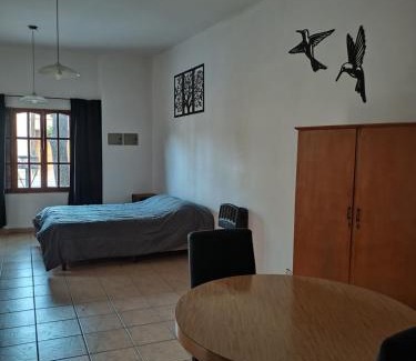 Mendoza City Center Apartment | monoambiente malbec ubicacion privilegiada no mascotas