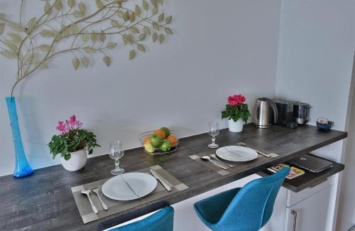 Jean Moulin - Marius Berliet Apartment | "Monplaisir", parking, canapé-lit neuf confortable, idéal voyages d'affaires et tourisme, proximité commerces, gare, Université Lyon 3 , Tram T2, T4 et C25