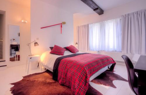 Mons House | Mons Dragon House