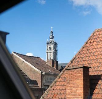 Mons House | Mons Dragon House