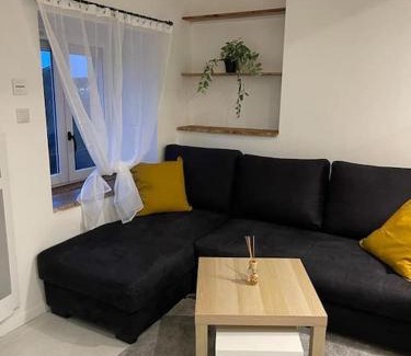 Saint-Etienne Apartment | Mont Aiguille - Proche gare Chateaucreux