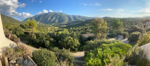 Mollans-sur-Ouveze Apartment | Mont-Ventoux, Provence, Appartement avec vue panoramique et piscine