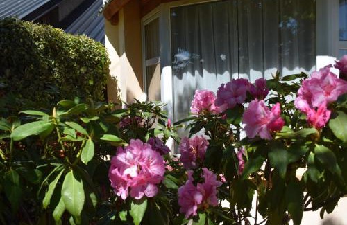 Dina Huapi Apartment | Montalto II