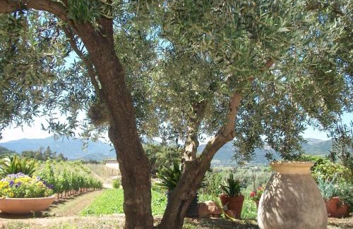 Lanusei Apartment | Monte Astili