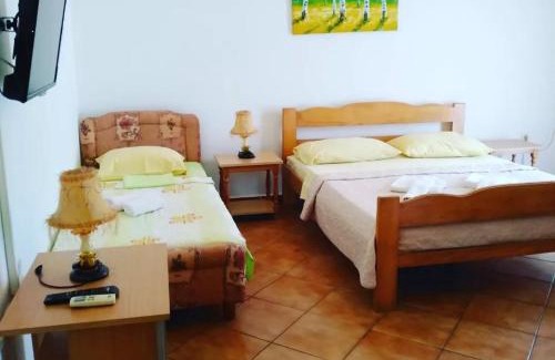 Maini Apartment | Montenegrina