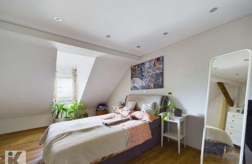 Ludwigshafen Apartment | Monteur- und Ferienwohnung Ludwigshafen, BASF Tor 7