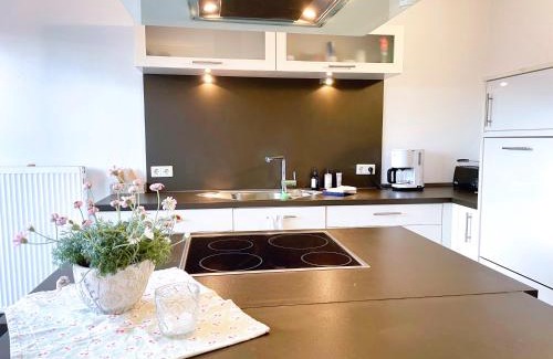 Ibbenbueren Apartment | Monteurwohnung Korte, Teams, 4 Einzelzimmer, 2 Doppelzimmer 2024 renoviert, Smart TV, Garten, 3 Bäder