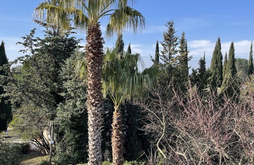Montferrier-sur-Lez House | Montferrier Sur Lez: House with character , splendid view on the middle age village, beautiful swimming pool