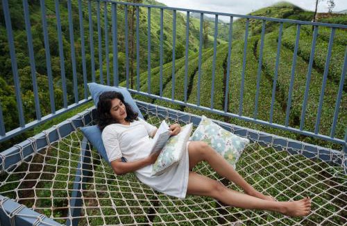 Elappara Resort | Monticle Glamps