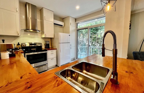 Mercier-Hochelaga-Maisonneuve Apartment | Montréal Haven