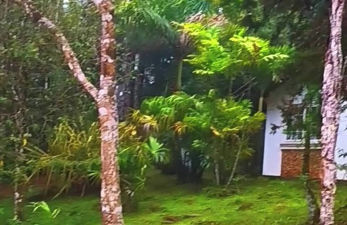 Juan Diaz House | Moon House River Dreams Cerro Azul