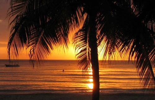 Ocho Rios Hotel | Moon Palace Jamaica