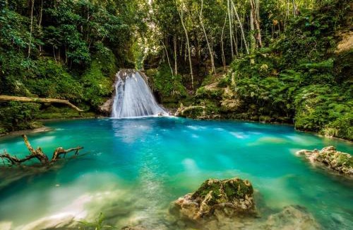 Ocho Rios Hotel | Moon Palace Jamaica