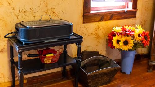Satin Cabin | Moon River Ranch