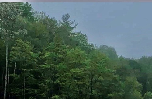 Muskoka Lakes House | Moon River Ridge