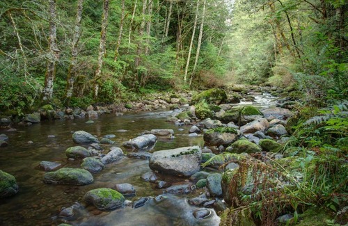 Rhododendron House | Moondance Cabin - Meredith Lodging