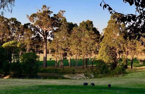 Rosa Brook House | Moonrise Farm