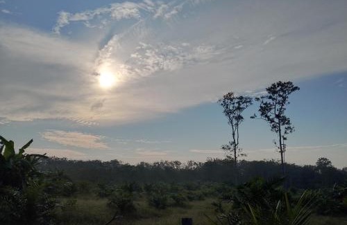 Sungai Kolok House | Moonshadow