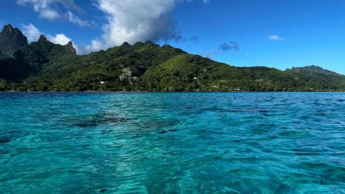 Ha'apiti Apartment | MOOREA - Bungalow Nauhei Surf Spot 1