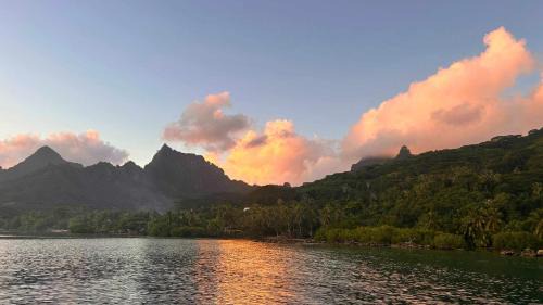 Ha'apiti Apartment | MOOREA - Bungalow Nauhei Surf Spot 2