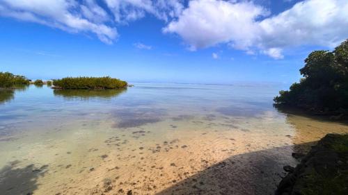 Ha'apiti Apartment | MOOREA - Bungalow Nauhei Surf Spot 2