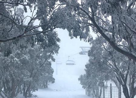 Mount Buller Apartment | Moose 2