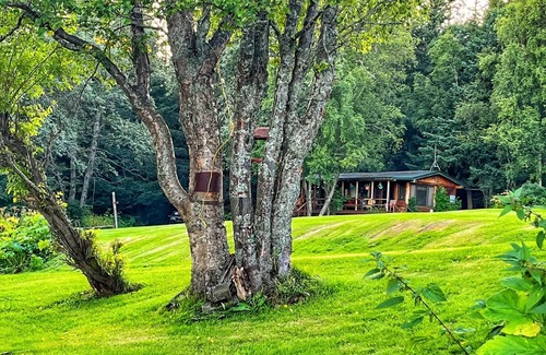 Homer Cabin | Moose Twin Cabins.
