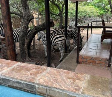 Marloth Park House | Mopani Villa