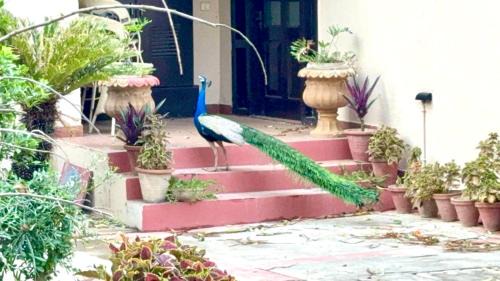 Bissar Akbarpur Villa | Mor Pur - Royal Golf Course Stay