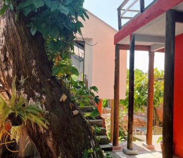 Itacare House | Morada Cacauêra
