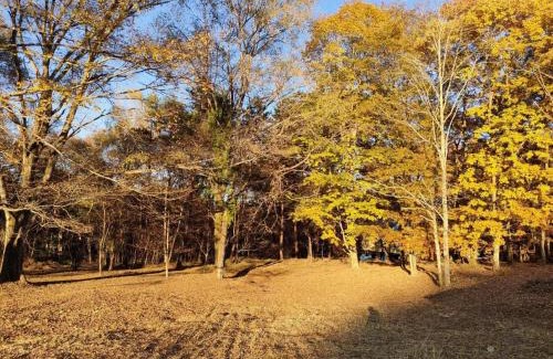 Naganohara-machi House | Mori no Komei campsite - Vacation STAY 04454v