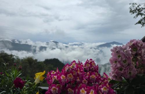 Gangtok House | Morning Mist Homestay