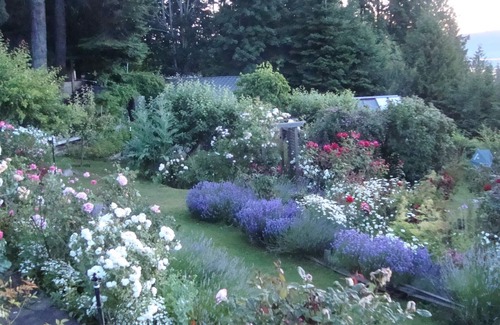 Salt Spring Island Apartment | Morningside Garden Suite on beautiful Salt Spring Island